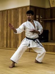 Image result for Reading Karate-Do Shotokai