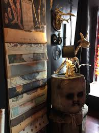 Attēlu rezultāti vaicājumam “Collaria rubens”