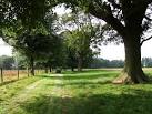 Finding the drive gate open - via Daymix
