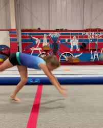 Image result for Focus Institute of Gymnastics