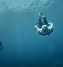 Image result for Duchy Divers