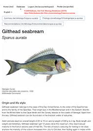 Image result for Sparus aurata