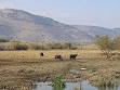 Hula Valley - Wikipedia, the free encyclopedia