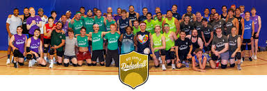 Image result for York University Dodgeball Club