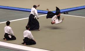 Image result for Aikido - Takama Hara Aikido Dojo