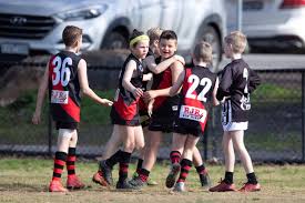 Image result for Eltham Panthers