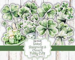 Attēlu rezultāti vaicājumam “Ephemera sp.”