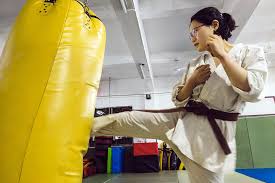 Image result for Trusted Guard Martial Arts Dojo