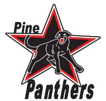 Image result for Medway Panthers Netball Club