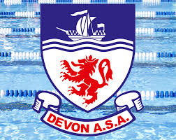 Image result for Kingsbridge Kingfishers Swimming Club