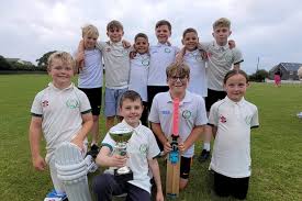 Image result for Narberth Cricket Club