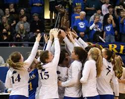 Image result for University Of Birmingham Volleyball Club