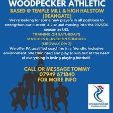 Image result for Lower Halstow Fc