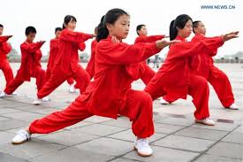 Image result for kung fu