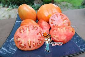 Afbeeldingsresultaat voor butter and bull heart tomato