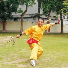 Image result for Hung Kuen School Of Shaolin Kung Fu
