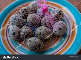 Attēlu rezultāti vaicājumam “Crex crex eggs”