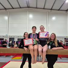 Image result for Haverfordwest Gymnastics Club