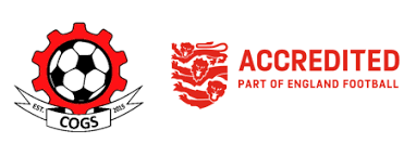 Image result for Beecholme Belles Banstead FC