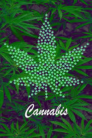 Attēlu rezultāti vaicājumam “Cannabis sativa leaf”