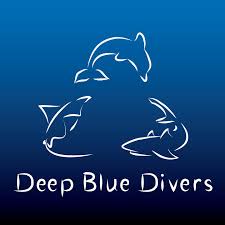 Image result for Deep Blue Diving