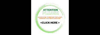 Image result for BUDLEIGH SALTERTON CROQUET CLUB