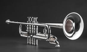 Image result for inlet trumpet