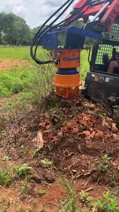 Image result for dipperfox tehron