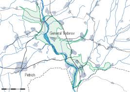 Attēlu rezultāti vaicājumam “Lamellocossus terebra”