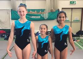 Image result for St Helens Centre For Gymnastics