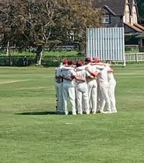 Image result for Steyning Cricket Club