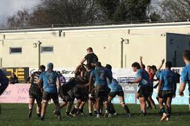 Image result for Totnes Rugby Club