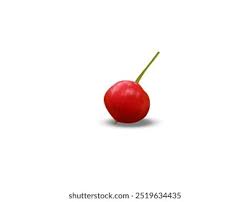 Attēlu rezultāti vaicājumam “Polygonatum verticillatum fruit”