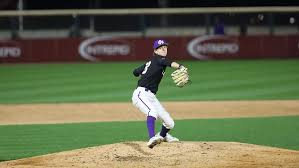 Image result for Birmingham University Lions