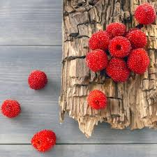 Attēlu rezultāti vaicājumam “Rubus illecebrosus fruit”