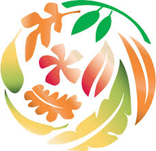 Attēlu rezultāti vaicājumam “Mnium stellare”