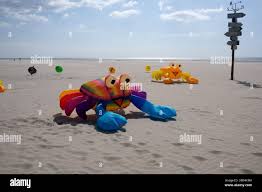 Image result for Suffolk Coastal Floaters