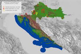 Attēlu rezultāti vaicājumam “Lopinga achine underside”