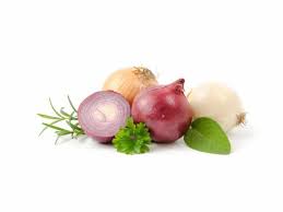 Image result for Zwiebeln