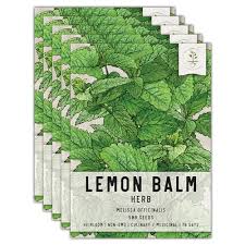 Attēlu rezultāti vaicājumam “Melissa officinalis”