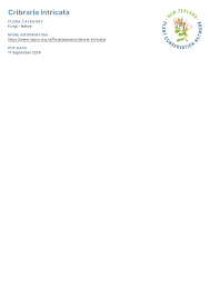 Attēlu rezultāti vaicājumam “Cribraria intricata”