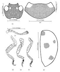 Attēlu rezultāti vaicājumam “Coccinella septempunctata”