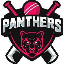 Image result for Pentyrch Cricket Club