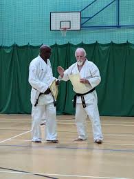 Image result for HEIWA SHOTOKAN KARATE CLUB