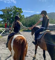 Image result for The Riding Centre