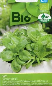 Image result for Feldsalat