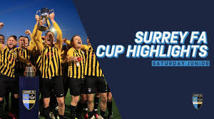 Image result for Woodmansterne Sports Fc