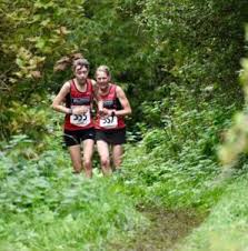 Image result for Billingham Marsh House Harriers