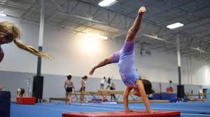 Image result for Holbeach and Fenland Gymnastics Club