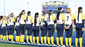 Image result for Lions Softball Club